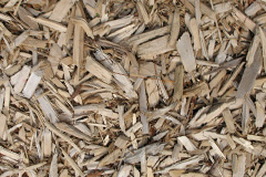 biomass boilers Waterbeach